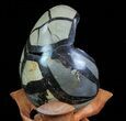 Septarian Dragon Egg Geode - Black Crystals #71985-3